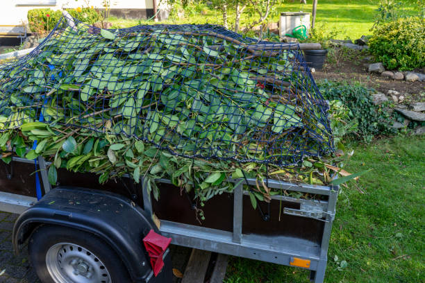 Best Yard Waste Removal  in Hillsboro, KS
